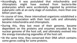 •Accordingly, it was postulated that mitochondria and
chloroplasts might have evolved from bacteria-like
prokaryotes which were accidentally ingested by primitive
eukaryotic cells at an early stage of evolution, more than one
billion years ago.
•In course of time, these internalised organisms established a
symbiotic association with their host cells and ultimately
became mitochondria and chloroplasts.
•During this, they lost most of their genome, became
dependent on the proteins and enzymes encoded by the
nuclear genome of the host cell, and ultimately evolved into
the energy-transducing organelles of the host cell.
•At the same time, they conserved their DNA which contains
some genes coding for some proteins.
 