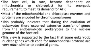 •The host cell, in turn, became dependent on
mitochondria or chloroplast for its energetic
requirement, to meet its demand for ATP.
•Most of the mitochondrial and chloroplast enzymes and
proteins are encoded by chromosomal genes.
•This probably indicates that during the evolution of
eukaryotes there occurred extensive transfer of genes
from the endosymbiotic prokaryotes to the nuclear
genome of the host cell.
•This view is supported by the fact that some eukaryotic
nuclear genes which code for mitochondrial proteins are
very much similar to bacterial genes.
 