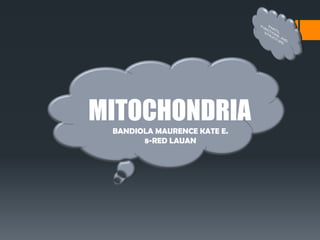 MITOCHONDRIA
BANDIOLA MAURENCE KATE E.
8-RED LAUAN
 