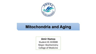 1
Mitochondria and Aging
Amir Hamza
Student ID: B19008
Major: Biochemistry
College of Medicine
 