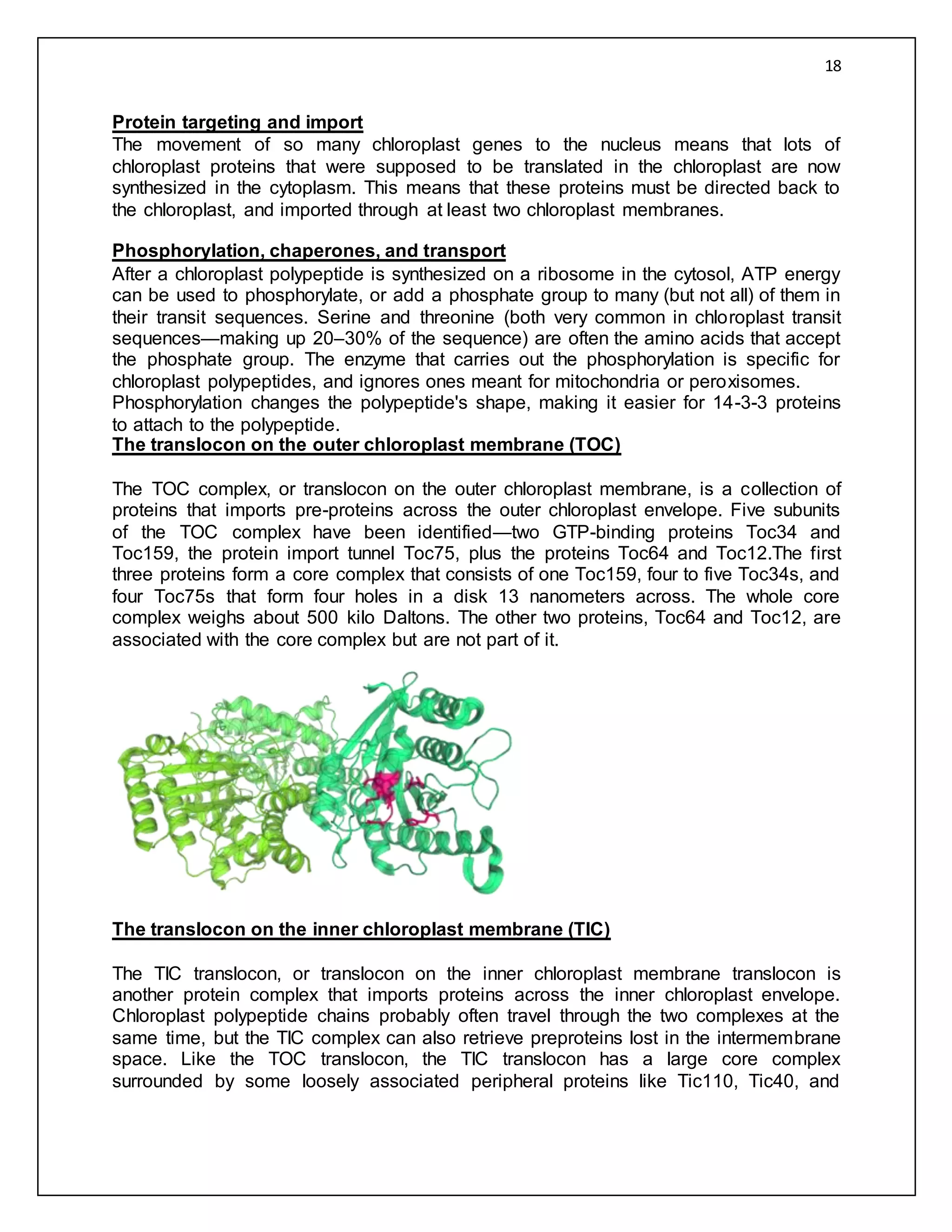 Mitochondrial and chloroplast DNA | DOCX