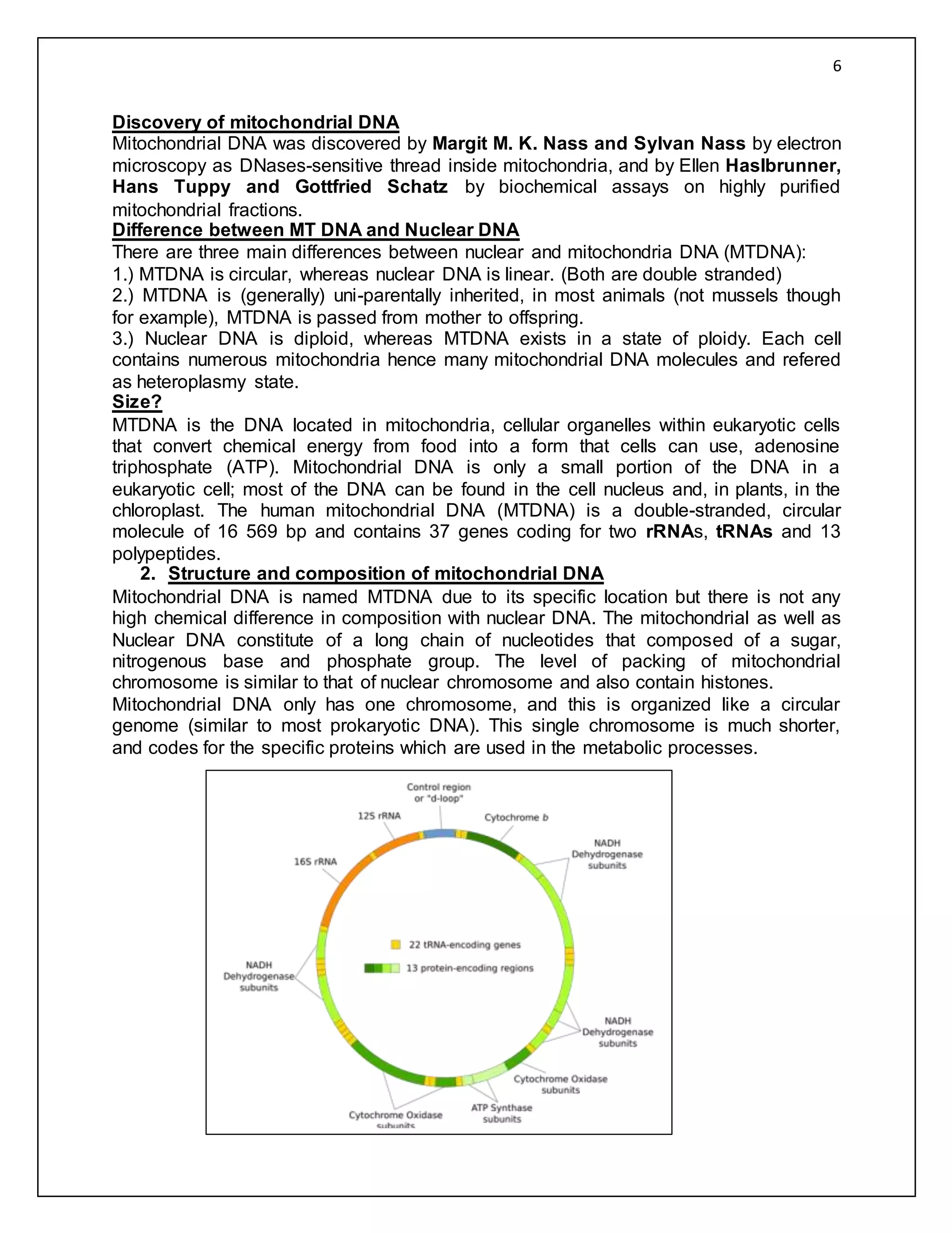 Mitochondrial and chloroplast DNA | DOCX