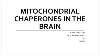 MITOCHONDRIAL
CHAPERONES INTHE
BRAIN
ASHUTOSH KR DAS
(M Sc. MICROBIOLOGY)
407
PAPER 1
 
