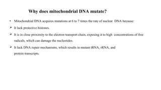 Why does mitochondrial DNA mutate?
• Mitochondrial DNA acquires mutations at 6 to 7 times the rate of nuclear DNA because:
 It lack protective histones.
 It is in close proximity to the electron transport chain, exposing it to high concentrations of free
radicals, which can damage the nucleotides.
 It lack DNA repair mechanisms, which results in mutant tRNA, rRNA, and
protein transcripts.
 