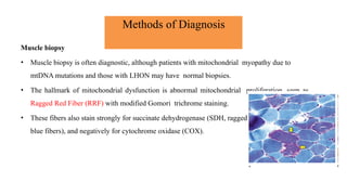 Methods of Diagnosis
Muscle biopsy
• Muscle biopsy is often diagnostic, although patients with mitochondrial myopathy due to
mtDNA mutations and those with LHON may have normal biopsies.
• The hallmark of mitochondrial dysfunction is abnormal mitochondrial proliferation, seen as
Ragged Red Fiber (RRF) with modified Gomori trichrome staining.
• These fibers also stain strongly for succinate dehydrogenase (SDH, ragged
blue fibers), and negatively for cytochrome oxidase (COX).
 