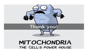 mitochondrialdiseases-140122103237-phpapp02.pptx