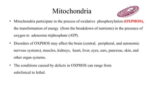 Mitochondria
• Mitochondria participate in the process of oxidative phosphorylation (OXPHOS),
the transformation of energy (from the breakdown of nutrients) in the presence of
oxygen to adenosine triphosphate (ATP).
• Disorders of OXPHOS may affect the brain (central, peripheral, and autonomic
nervous systems), muscles, kidneys, heart, liver, eyes, ears, pancreas, skin, and
other organ systems.
• The conditions caused by defects in OXPHOS can range from
subclinical to lethal.
 