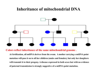 Mitochondrial diseases | PPTX