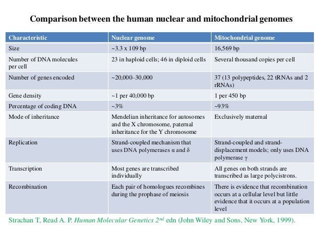 mendelian inheritance