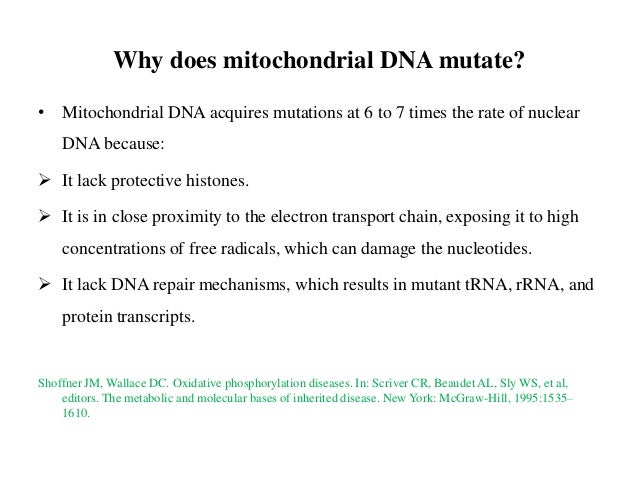 mitochondrial diseases