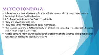 MITOCHONDRIAL DISEASES PPT SANCHI.pptxycuvu | PPTX