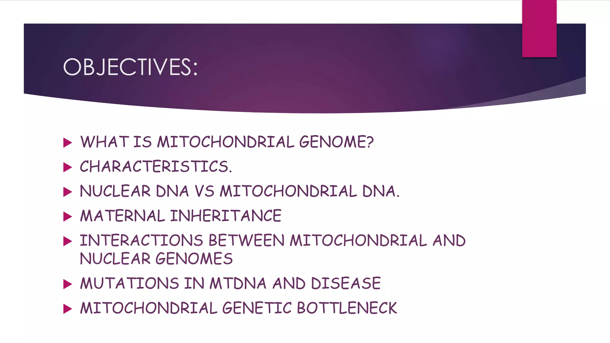Mitochondrial dna | PPTX