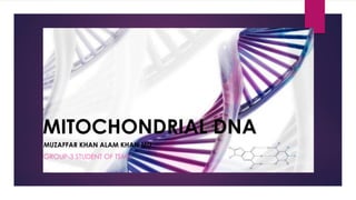 MITOCHONDRIAL DNA
MUZAFFAR KHAN ALAM KHAN MD.,
GROUP-3 STUDENT OF TSMU
 
