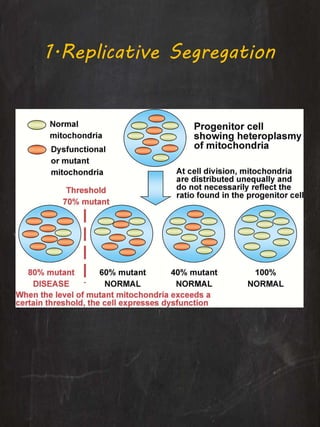 1.Replicative Segregation
 