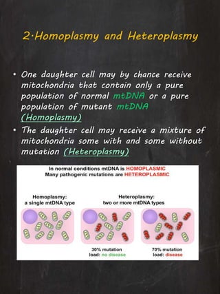 2.Homoplasmy and Heteroplasmy
• One daughter cell may by chance receive
mitochondria that contain only a pure
population of normal mtDNA or a pure
population of mutant mtDNA
(Homoplasmy)
• The daughter cell may receive a mixture of
mitochondria some with and some without
mutation (Heteroplasmy)
 