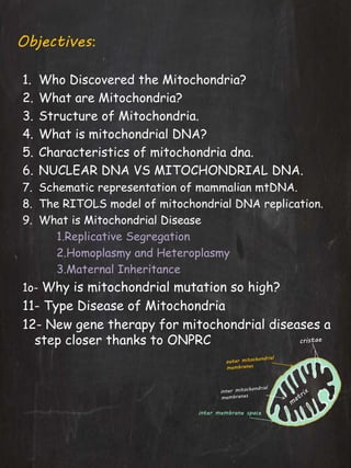 Objectives:
1. Who Discovered the Mitochondria?
2. What are Mitochondria?
3. Structure of Mitochondria.
4. What is mitochondrial DNA?
5. Characteristics of mitochondria dna.
6. NUCLEAR DNA VS MITOCHONDRIAL DNA.
7. Schematic representation of mammalian mtDNA.
8. The RITOLS model of mitochondrial DNA replication.
9. What is Mitochondrial Disease
1.Replicative Segregation
2.Homoplasmy and Heteroplasmy
3.Maternal Inheritance
1o- Why is mitochondrial mutation so high?
11- Type Disease of Mitochondria
12- New gene therapy for mitochondrial diseases a
step closer thanks to ONPRC
inter membrane space
 