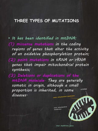 • It has been identified in mtDNA:
(1) missense mutations in the coding
regions of genes that alter the activity
of an oxidative phosphorylation protein;
(2) point mutations in tRNA or rRNA
genes that impair mitochondrial protein
synthesis;
(3) Deletions or duplications of the
mtDNA molecule. They are generally
somatic in origin, although a small
proportion is inherited, in some
diseases.
THREE TYPES OF MUTATIONS
inter membrane space
 