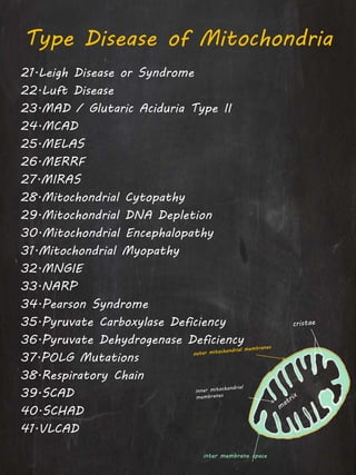 Type Disease of Mitochondria
21.Leigh Disease or Syndrome
22.Luft Disease
23.MAD / Glutaric Aciduria Type II
24.MCAD
25.MELAS
26.MERRF
27.MIRAS
28.Mitochondrial Cytopathy
29.Mitochondrial DNA Depletion
30.Mitochondrial Encephalopathy
31.Mitochondrial Myopathy
32.MNGIE
33.NARP
34.Pearson Syndrome
35.Pyruvate Carboxylase Deficiency
36.Pyruvate Dehydrogenase Deficiency
37.POLG Mutations
38.Respiratory Chain
39.SCAD
40.SCHAD
41.VLCAD
inter membrane space
 