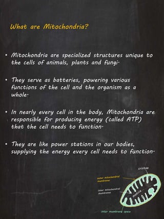 What are Mitochondria?
• Mitochondria are specialized structures unique to
the cells of animals, plants and fungi.
• They serve as batteries, powering various
functions of the cell and the organism as a
whole..
• In nearly every cell in the body, Mitochondria are
responsible for producing energy (called ATP)
that the cell needs to function.
• They are like power stations in our bodies,
supplying the energy every cell needs to function.
inter membrane space
 