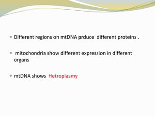  Different regions on mtDNA prduce different proteins .
 mitochondria show different expression in different
organs
 mtDNA shows Hetroplasmy
 
