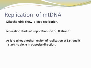 Replication of mtDNA
Mitochondria show d-loop replication.
Replication starts at replication site of H strand.
As it reaches another region of replication at L strand it
starts to circle in opposite direction.
 