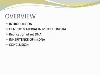 OVERVIEW
 INTRODUCTION
 GENETIC MATERIAL IN MITOCHONDTIA
 Replication of mt DNA
 INHERITENCE OF mtDNA
 CONCLUSION
 