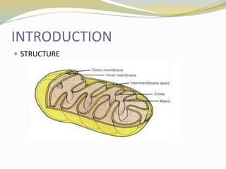 INTRODUCTION
 STRUCTURE
 