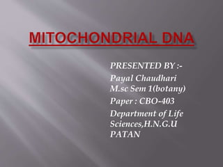 PRESENTED BY :-
Payal Chaudhari
M.sc Sem 1(botany)
Paper : CBO-403
Department of Life
Sciences,H.N.G.U
PATAN
 