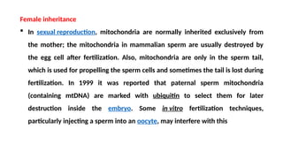 Female inheritance
 In sexual reproduction, mitochondria are normally inherited exclusively from
the mother; the mitochondria in mammalian sperm are usually destroyed by
the egg cell after fertilization. Also, mitochondria are only in the sperm tail,
which is used for propelling the sperm cells and sometimes the tail is lost during
fertilization. In 1999 it was reported that paternal sperm mitochondria
(containing mtDNA) are marked with ubiquitin to select them for later
destruction inside the embryo. Some in vitro fertilization techniques,
particularly injecting a sperm into an oocyte, may interfere with this
 