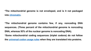 •The mitochondrial genome is not enveloped, and is it not packaged
into chromatin.
•The mitochondrial genome contains few, if any, noncoding DNA
sequences. (Three percent of the mitochondrial genome is noncoding
DNA, whereas 93% of the nuclear genome is noncoding DNA).
•Some mitochondrial coding sequences (triplet codons) do not follow
the universal codon usage rules when they are translated into proteins.
 