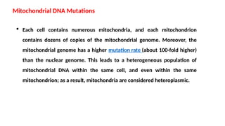  Each cell contains numerous mitochondria, and each mitochondrion
contains dozens of copies of the mitochondrial genome. Moreover, the
mitochondrial genome has a higher mutation rate (about 100-fold higher)
than the nuclear genome. This leads to a heterogeneous population of
mitochondrial DNA within the same cell, and even within the same
mitochondrion; as a result, mitochondria are considered heteroplasmic.
Mitochondrial DNA Mutations
 