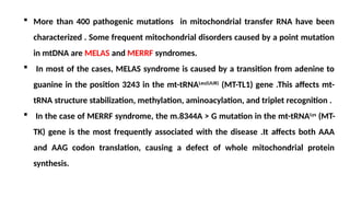  More than 400 pathogenic mutations in mitochondrial transfer RNA have been
characterized . Some frequent mitochondrial disorders caused by a point mutation
in mtDNA are MELAS and MERRF syndromes.
 In most of the cases, MELAS syndrome is caused by a transition from adenine to
guanine in the position 3243 in the mt-tRNALeu(UUR)
(MT-TL1) gene .This affects mt-
tRNA structure stabilization, methylation, aminoacylation, and triplet recognition .
 In the case of MERRF syndrome, the m.8344A > G mutation in the mt-tRNALys
(MT-
TK) gene is the most frequently associated with the disease .It affects both AAA
and AAG codon translation, causing a defect of whole mitochondrial protein
synthesis.
 