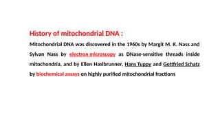 History of mitochondrial DNA :
Mitochondrial DNA was discovered in the 1960s by Margit M. K. Nass and
Sylvan Nass by electron microscopy as DNase-sensitive threads inside
mitochondria, and by Ellen Haslbrunner, Hans Tuppy and Gottfried Schatz
by biochemical assays on highly purified mitochondrial fractions
 