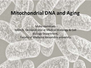 Maha Hammady
MBBCh, Demonstrator at Medical Histology & Cell
Biology Department,
Faculty of Medicine Alexandria university
Mitochondrial DNA and Aging
 