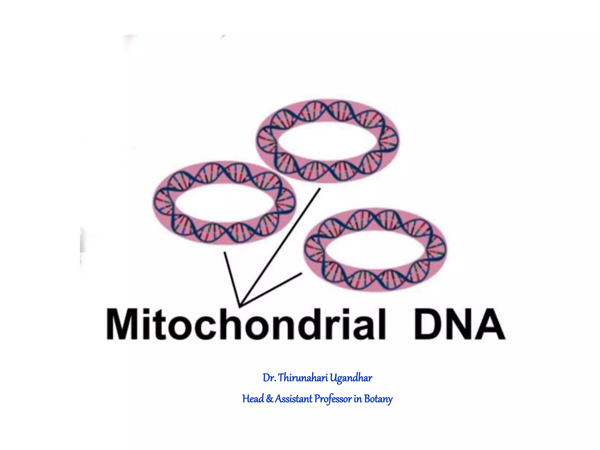 Dr. ThirunahariUgandhar
Head& AssistantProfessorin Botany
 