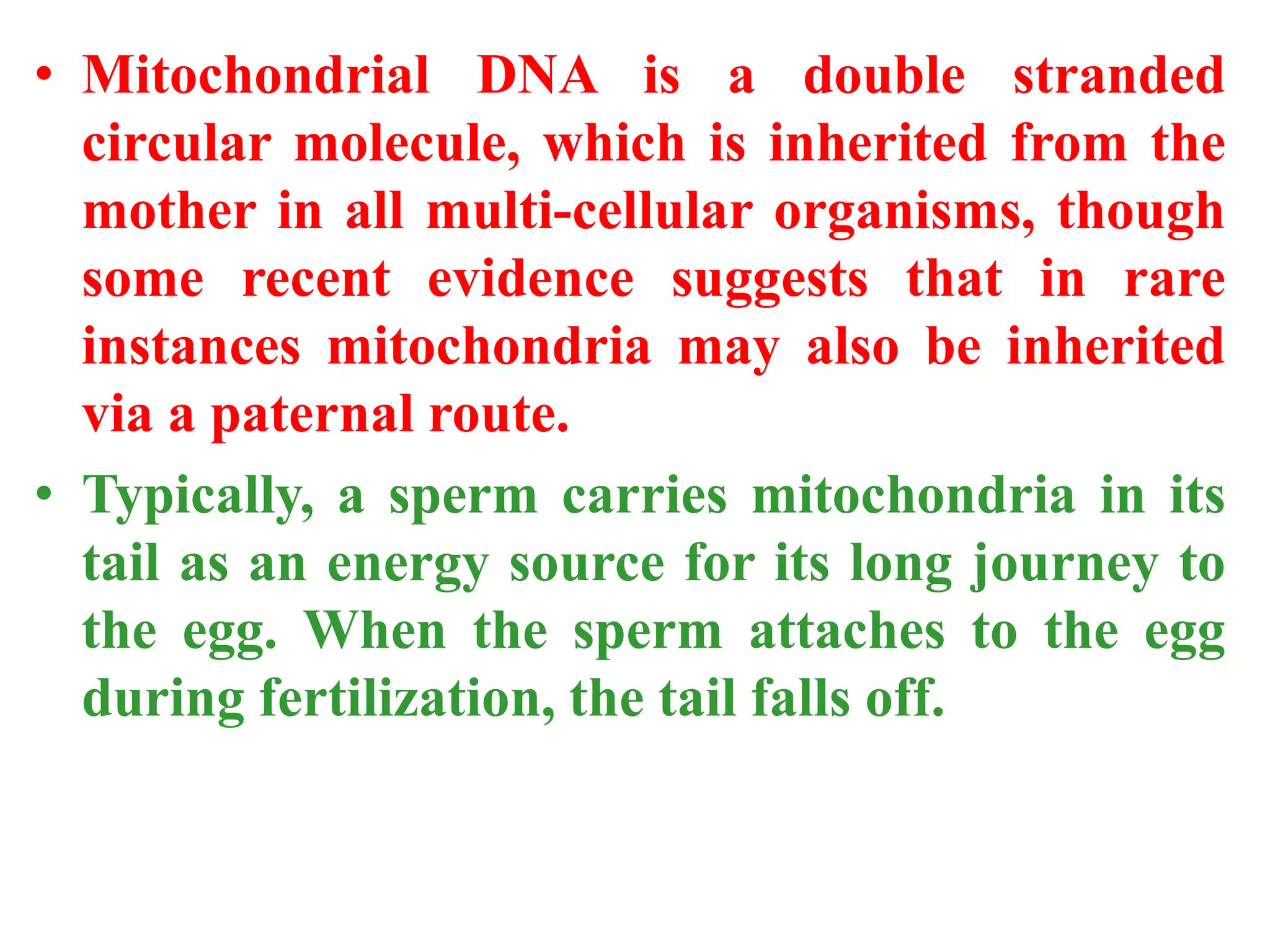 • Mitochondrial DNA is a double stranded
circular molecule, which is inherited from the
mother in all multi-cellular organisms, though
some recent evidence suggests that in rare
instances mitochondria may also be inherited
via a paternal route.
• Typically, a sperm carries mitochondria in its
tail as an energy source for its long journey to
the egg. When the sperm attaches to the egg
during fertilization, the tail falls off.
 