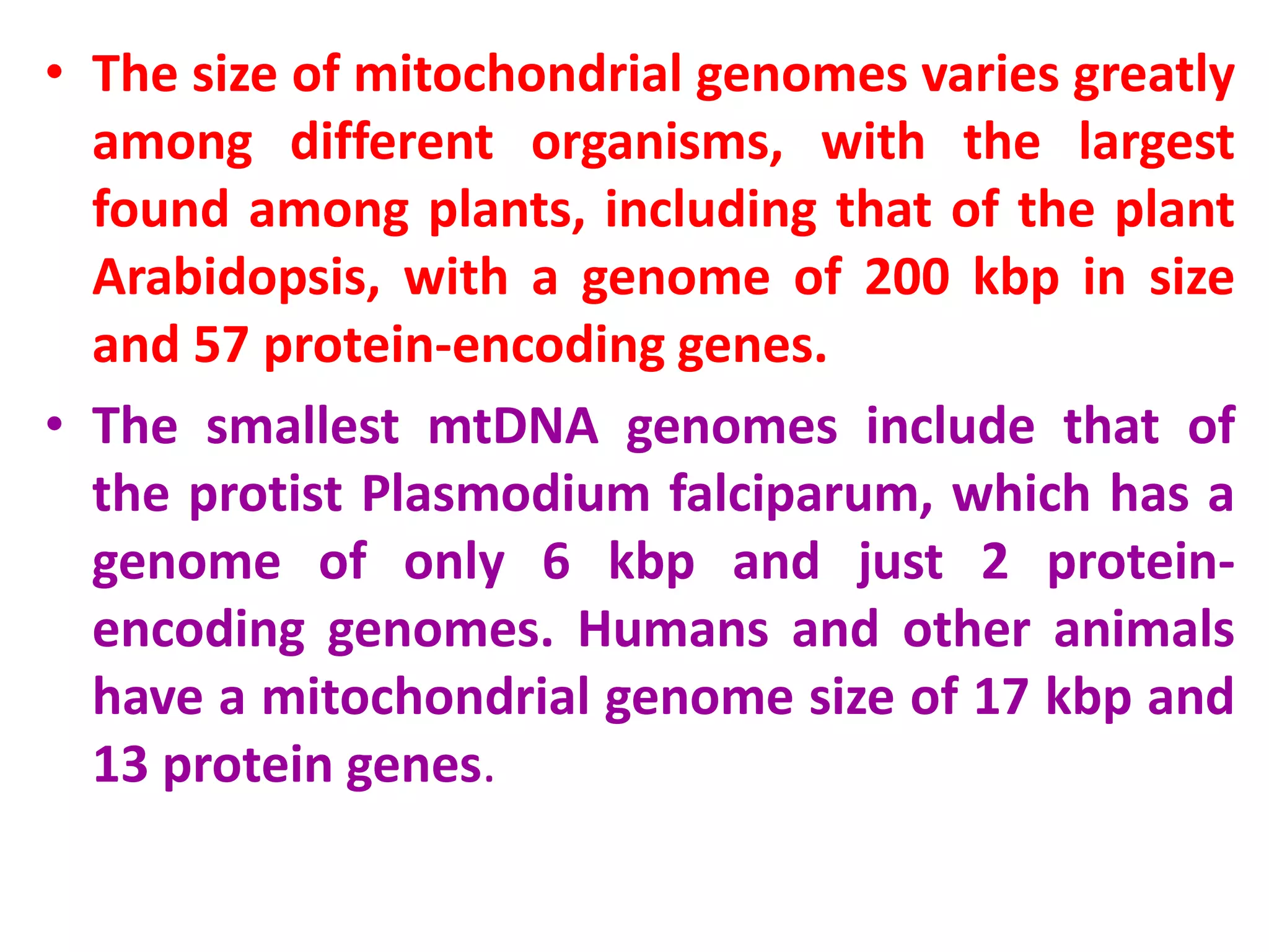• The size of mitochondrial genomes varies greatly
among different organisms, with the largest
found among plants, including that of the plant
Arabidopsis, with a genome of 200 kbp in size
and 57 protein-encoding genes.
• The smallest mtDNA genomes include that of
the protist Plasmodium falciparum, which has a
genome of only 6 kbp and just 2 protein-
encoding genomes. Humans and other animals
have a mitochondrial genome size of 17 kbp and
13 protein genes.
 