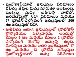 • మైటోకాన్డ్రియాల్ జను వుల రరిమాణాం
విభిని జీవుల మధ్ు మారుతూ ఉాంటాంది,
మొకక ల మధ్ు అతిపెదద వాటిల్ల,
అరబిడోప్సి స్త
ా సహా, రరిమాణాం మరియు
57 డ్రపోటీన్-ఎన్లక డిాంగ్ జను వులల్ల 200
kbp జను వుతో సహా.
• అతిచిని mtDNA జను వులల్ల డ్రపోటోజిస్టర
ల్
ా
ో స్త్ డియాం ఫల్లి ారమ్, ఇాందుల్ల
కేవలాం 6 kbp మరియు కేవలాం 2 డ్రపోటీన్-
ఎన్లక డిాంగ్ జెన్లమో జను వు ఉాంది.
మానవుల్య మరియు ఇతర జాంతువులల్ల 17
kbp మరియు 13 డ్రపోటీన్ జను వుల
మైటోకాన్డ్రియాల్ జను రరిమాణాం
 