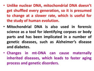 • Unlike nuclear DNA, mitochondrial DNA doesn’t
get shuffled every generation, so it is presumed
to change at a slower rate, which is useful for
the study of human evolution.
• Mitochondrial DNA is also used in forensic
science as a tool for identifying corpses or body
parts and has been implicated in a number of
genetic diseases, such as Alzheimer’s disease
and diabetes.
• Changes in mt-DNA can cause maternally
inherited diseases, which leads to faster aging
process and genetic disorders.
 