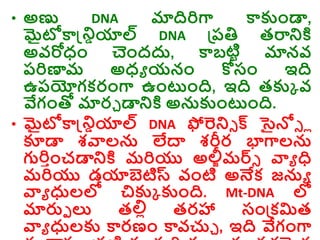 • అణు DNA మాదిరిగా కాకుాండా,
మైటోకాన్డ్రియాల్ DNA డ్రరతి తరారక్త
అవరోధ్ాం చాందదు, కాబటిర మానవ
రరిణామ అధ్ు యనాం కోసాం ఇది
ఉరయోగకరాంగా ఉాంటాంది, ఇది తకుక వ
వేగాంతో మారు డారక్త అనకుాంటాంది.
• మైటోకాన్డ్రియాల్ DNA ఫోరరి క్ సైన్లి ో
కూడా శవాలన లేద్వ శరీర భాగాలన
గురిాాంచడారక్త మరియు అలీీమర్ి వాు ధ
మరియు డయాబెటిస్ట వాంటి అనేక జను
వాు ధులల్ల చికుక కుాంది. Mt-DNA ల్ల
మారుె ల్య తల్లో తరహా సాండ్రకమిత
వాు ధులకు కారణాం కావచ్చు , ఇది వేగాంగా
 