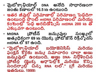 • మైటోకాన్డ్రియాల్ DNA అనేది ్ధారణాంగా
జాంతు కణాలల్ల 16.5 kb ఉాంటాంది
• ఇతర జీవుల్ల
ో రరిమాణాల్ల
ో రరిమాణాం పెల్
దదదిగా
ఉాంటాంది ల్
ా
ో ాంట్ mtDNA రరిమాణాంల్ల మరియు
కాంటాంటో
ో పెదద అరబిడోప్సి స్ట mtDNA 200 kb తో
ఎకుక వగా ఉాంటాంది.
• MtDNA డ్రపోటీన్ జను వుల సాంఖ్ు ల్ల
అతు ధకాంగా 69 kb యొకక డ్రపోటోజొన్ రిక్త ోన్ల్ నస్ట
mtDNA ల్ల 97 ఉాంది.
• "మైటోకాన్డ్రియాల్ బయోజెరసిస్ట మరియు
ఫాంక్షన్ కొరకు జను సమాచారాం చాలా అణు
జను వుల్ల ఉాంటాంది, అణు DNA- రర్వదశాంచిన
డ్రపోటీనో యొకక ఆరా
గ పెల్ల
ో క్త మరియు కొరి
సాందరాా ల్ల
ో చిని RNA లల్ల." (డ్రే మరియు
ఇతరుల్య, 1999)
 