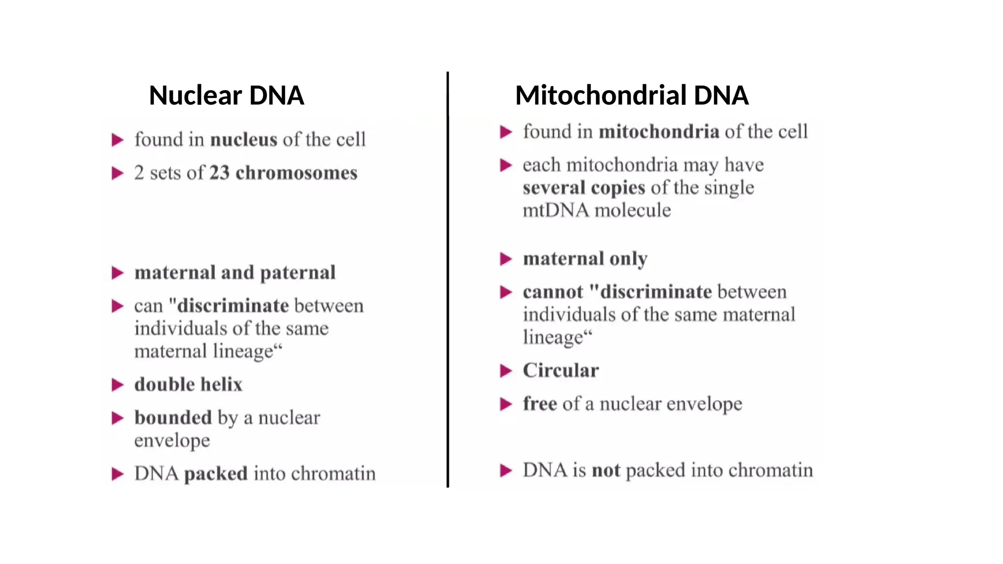 Nuclear DNA Mitochondrial DNA
 