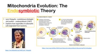 Mitochondria Evolution: The
Endosymbiotic Theory
• Lynn Margulis - evolutionary biologist
and author – endosymbiosis (1967)
• Explains how organelles in eukaryotic
cell originated from bacteria.
https://asm.org/articles/2024/june/beyond-endosymbiosis-discovering-first-nitroplast
https://en.wikipedia.org/wiki/Lynn_Margulis
 
