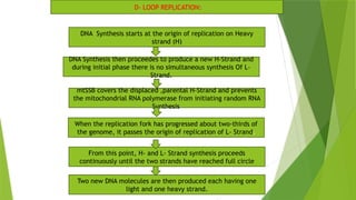 MITOCHONDRIAL_DNA_REPLICATION[1][1].pptx