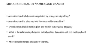Mitochondrial dynamics and cancer (2) | PPTX