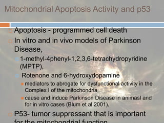 Mitochondrial Apoptosis Activity and p53Apoptosis - programmed cell deathIn vitro and in vivo models of Parkinson Disease, 1-methyl-4phenyl-1,2,3,6-tetrachydropyridine (MPTP), Rotenone and 6-hydroxydopamine mediators to abrogate for dysfunctional activity in the Complex I of the mitochondria cause and induce Parkinson Disease in animasl and for in vitro cases (Blum et al 2001). P53- tumor suppressant that is important for the mitochondrial function 