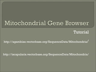 Tutorial http://agambiae.vectorbase.org/SequenceData/Mitochondria / http://iscapularis.vectorbase.org/SequenceData/Mitochondria/ 