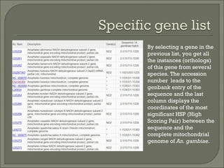 By selecting a gene in the previous list, you get all the instances (orthologs) of this gene from several species. The accession number  leads to the genbank entry of the sequence and the last column displays the coordinates of the most significant HSP (High Scoring Pair) between the sequence and the complete mitochondrial genome of  An. gambiae. 