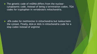  The genetic code of mtDNA differs from the nuclear-
cytoplasmic code. Instead of being a termination codon, TGA
codes for tryptophan in vertebrate's mitochondria.
 ATA codes for methionine in mitochondria but isoleucinein
the cytosol. Finally, AGA or AGG in mitochondria code for a
stop codon instead of arginine
 