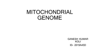 MITOCHONDRIAL
GENOME
GANESH KUMAR
KOLI
ID- 2019A45D
 